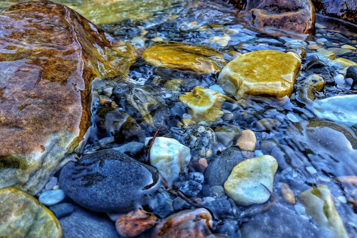 "I think it's just a good amenity now."