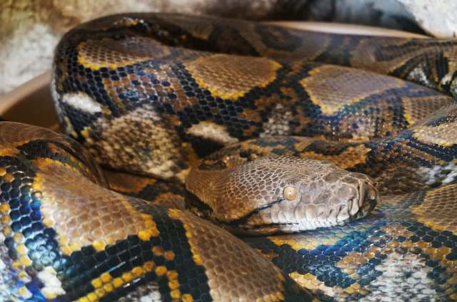 "This breaks my heart."