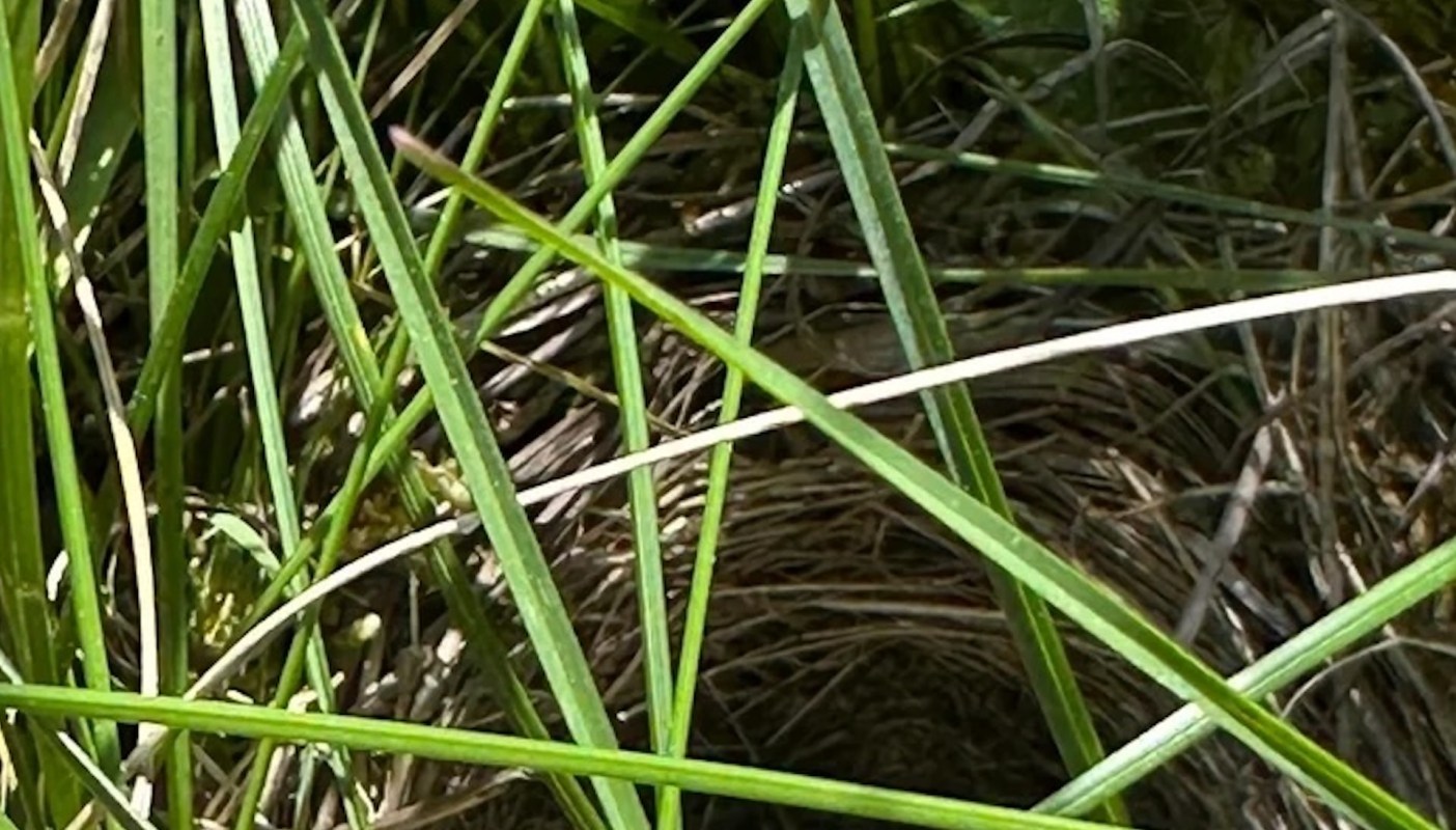 "This is so exciting!"