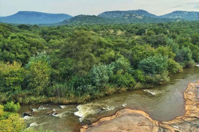 It's an innovative approach.