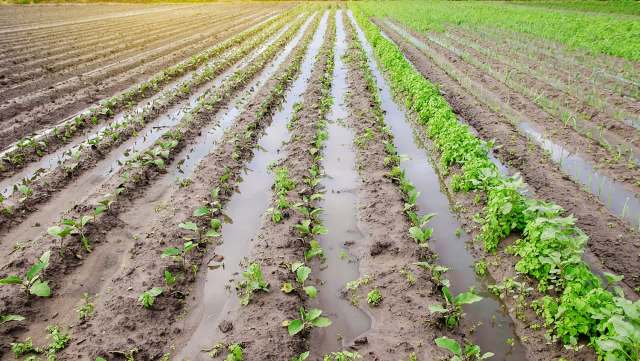 "Everything was cut off."