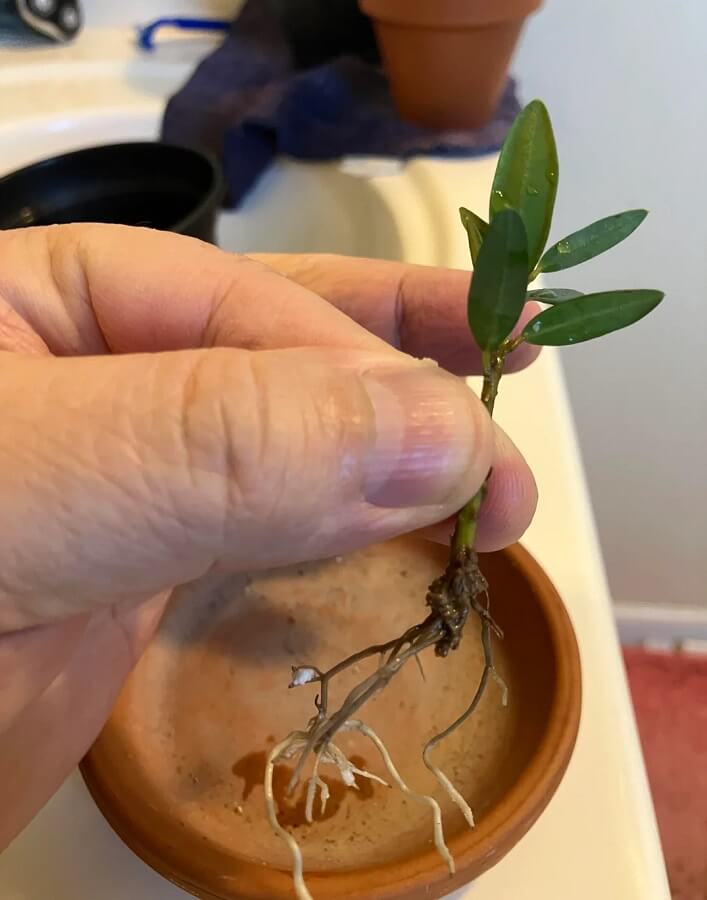 "People really be using their pill bottles."