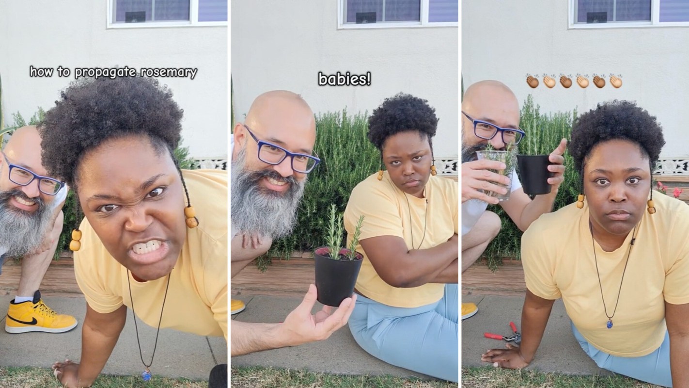 "I've been wanting to do this."