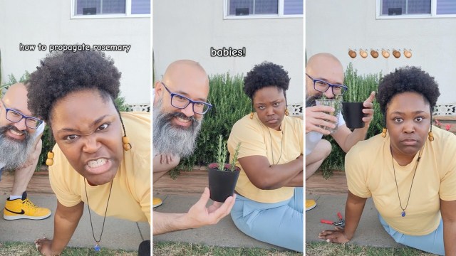 "I've been wanting to do this."