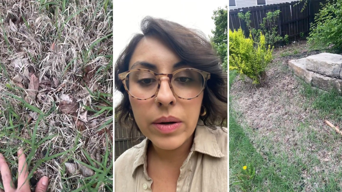 "I think completely digging out is your best solution."