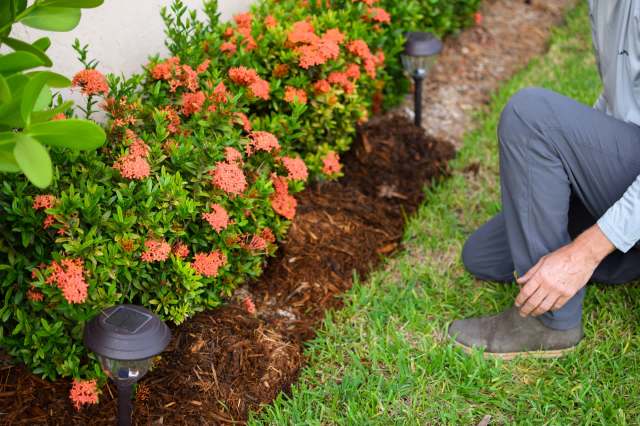 "No no no no no no no no no."