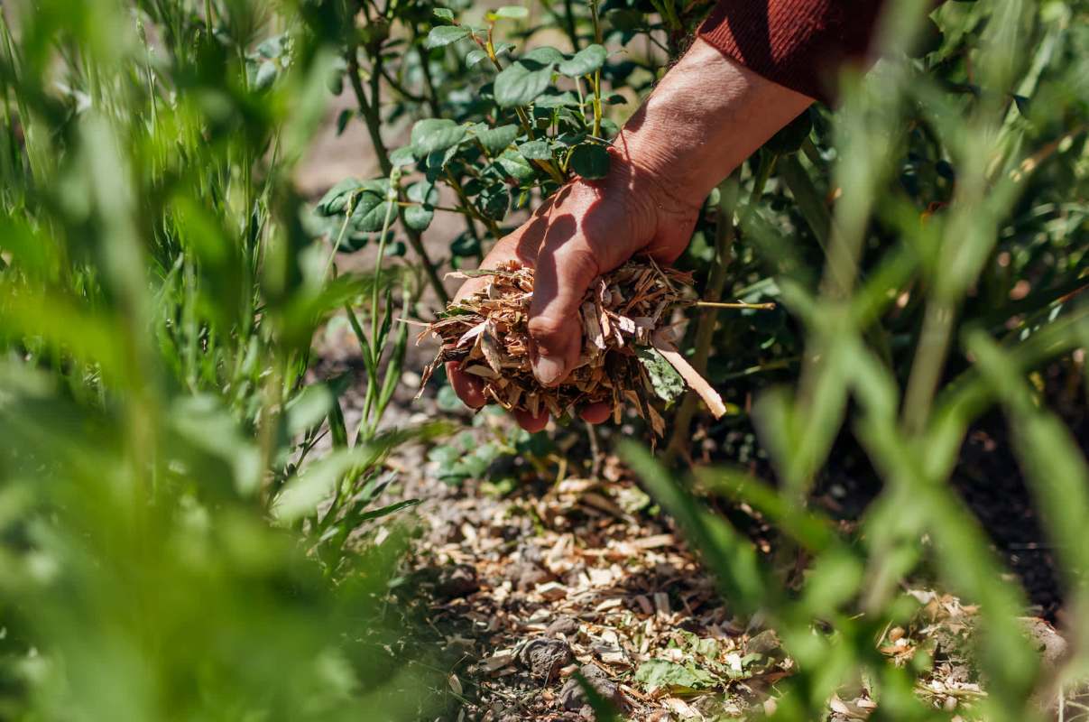 "It may contribute to cancer."