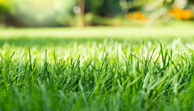 "The customer was not happy."