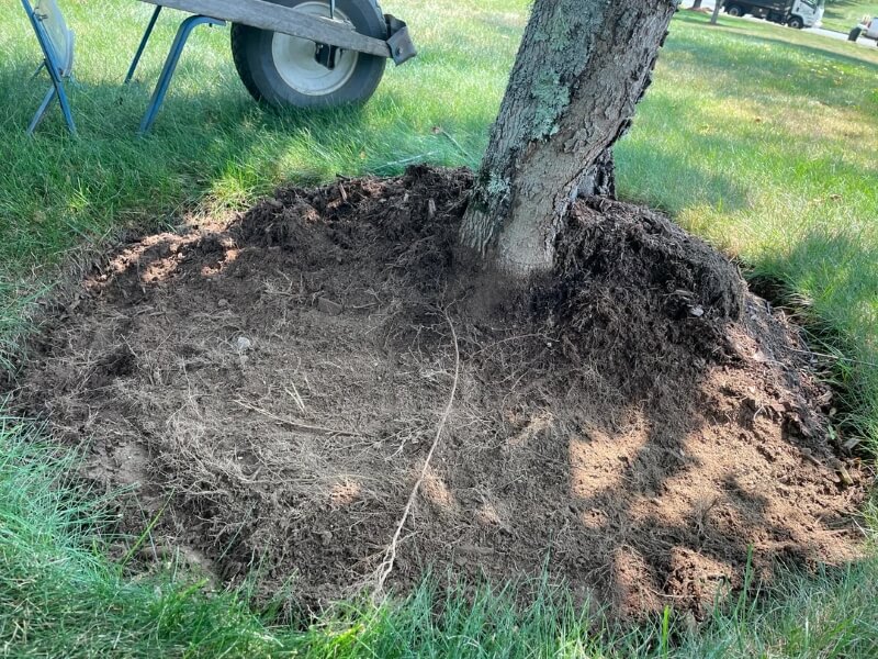 "We forget how resilient nature can be."