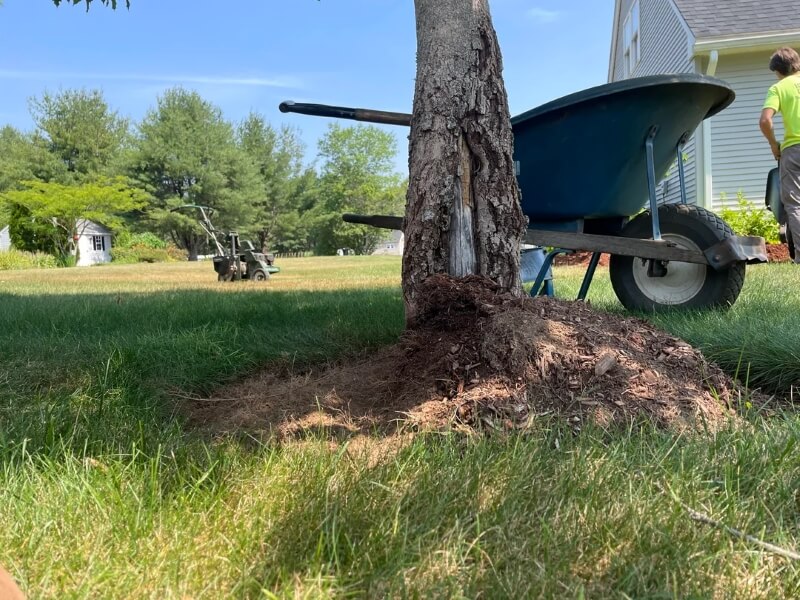 "We forget how resilient nature can be."