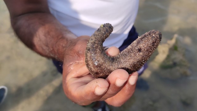 "It makes me happy to see the ones I've cared for grow bigger."