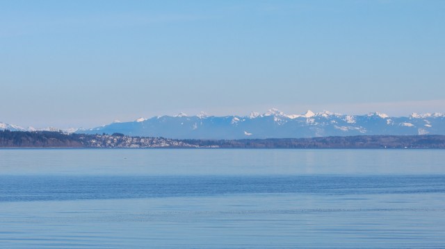 "He’s a very lucky bird."