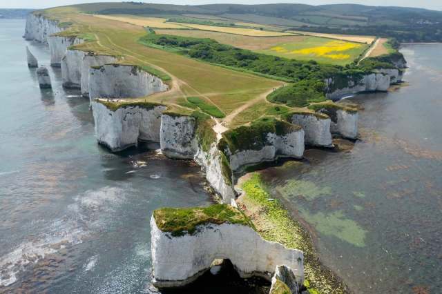 "It has been an incredible team effort."