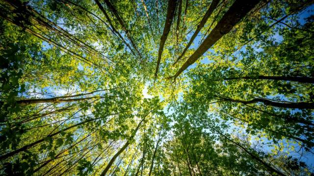 The research team combined data from thousands of studies.