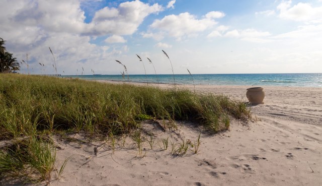 "I see sharks all the time and never has there been an attack."