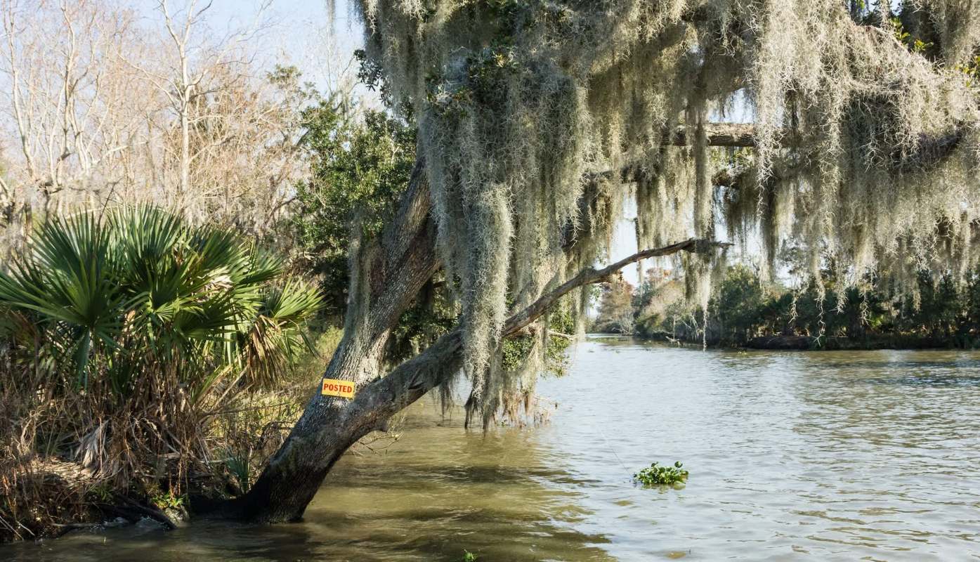 "You just take a loss."