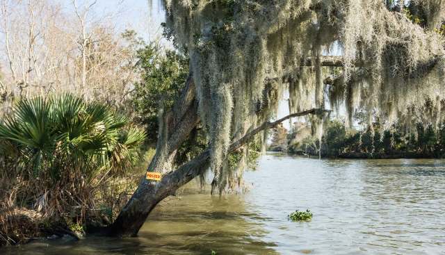 "You just take a loss."