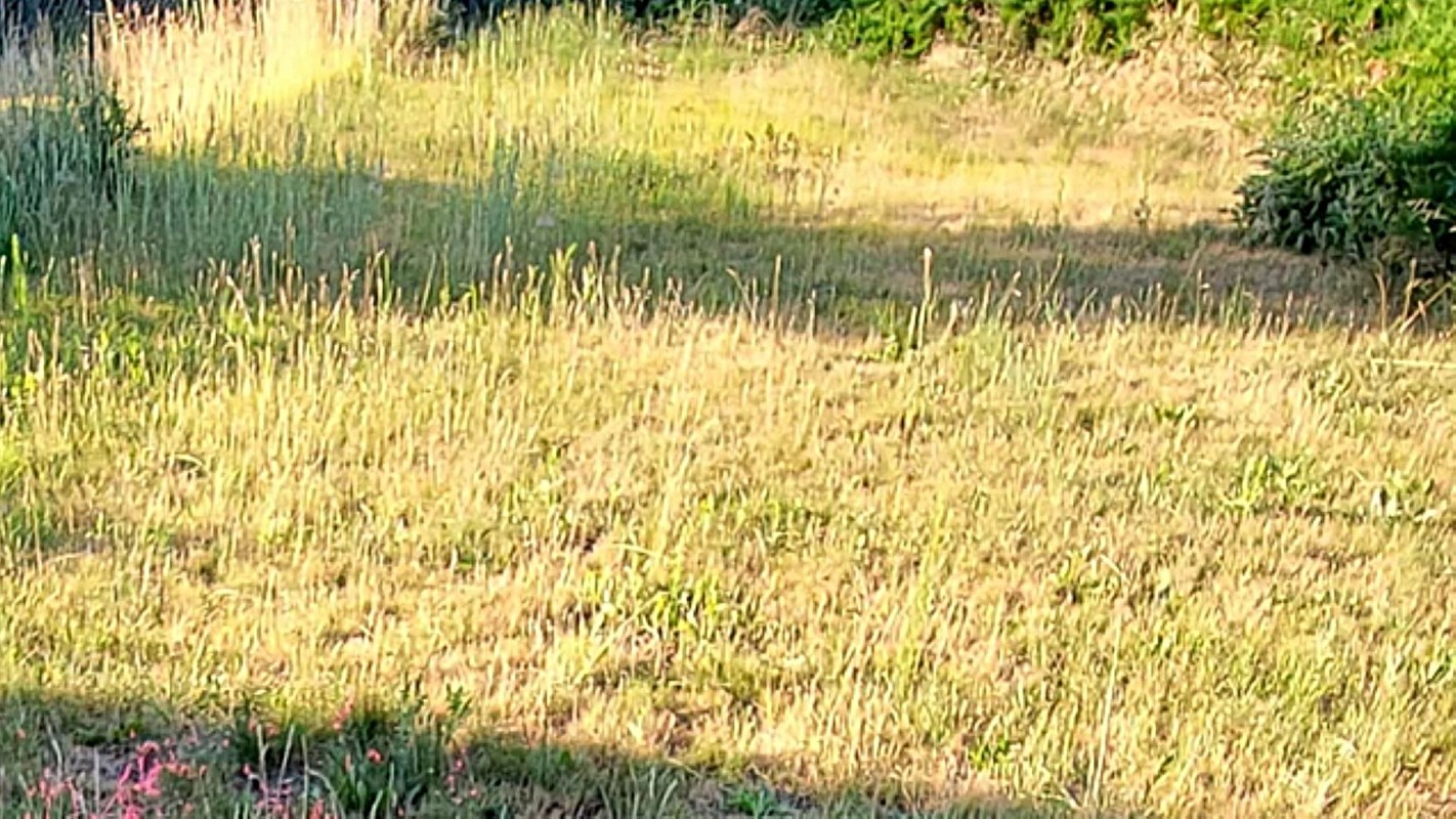 "I'm ... trying to not start a full on war with them."