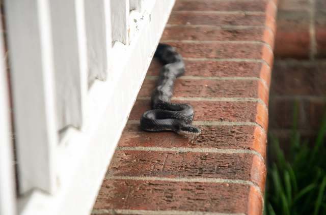 People working outdoors or living in crowded areas face the highest level of risk.