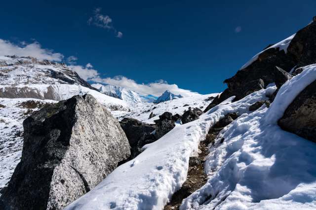 "To witness one in the wild is the ultimate wildlife encounter."