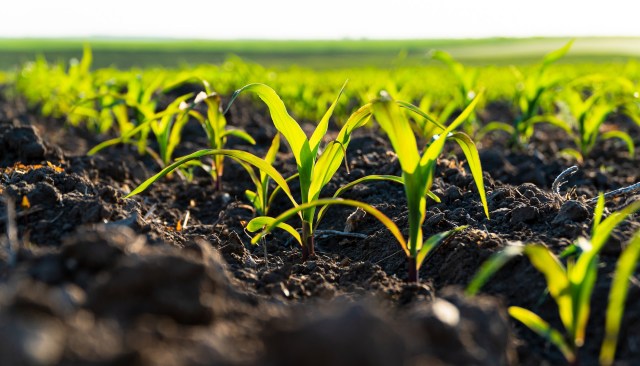 "Providing a more complete picture."