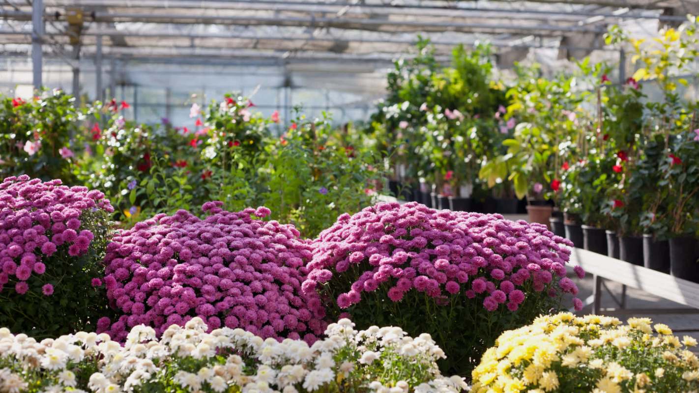 He was able to use the savings to fund construction of a new climate-controlled greenhouse.