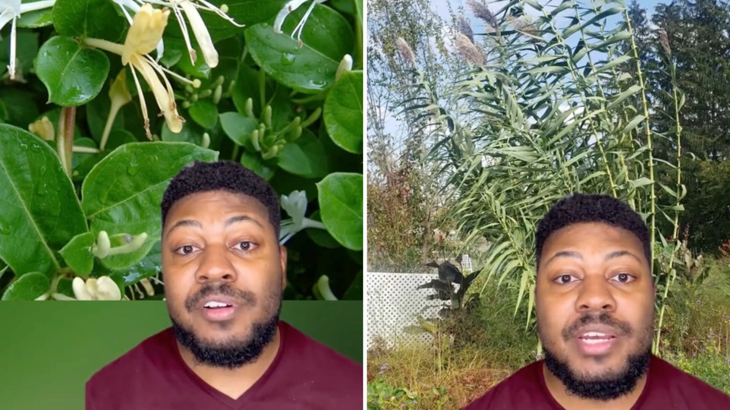 "Some are just so stunning."