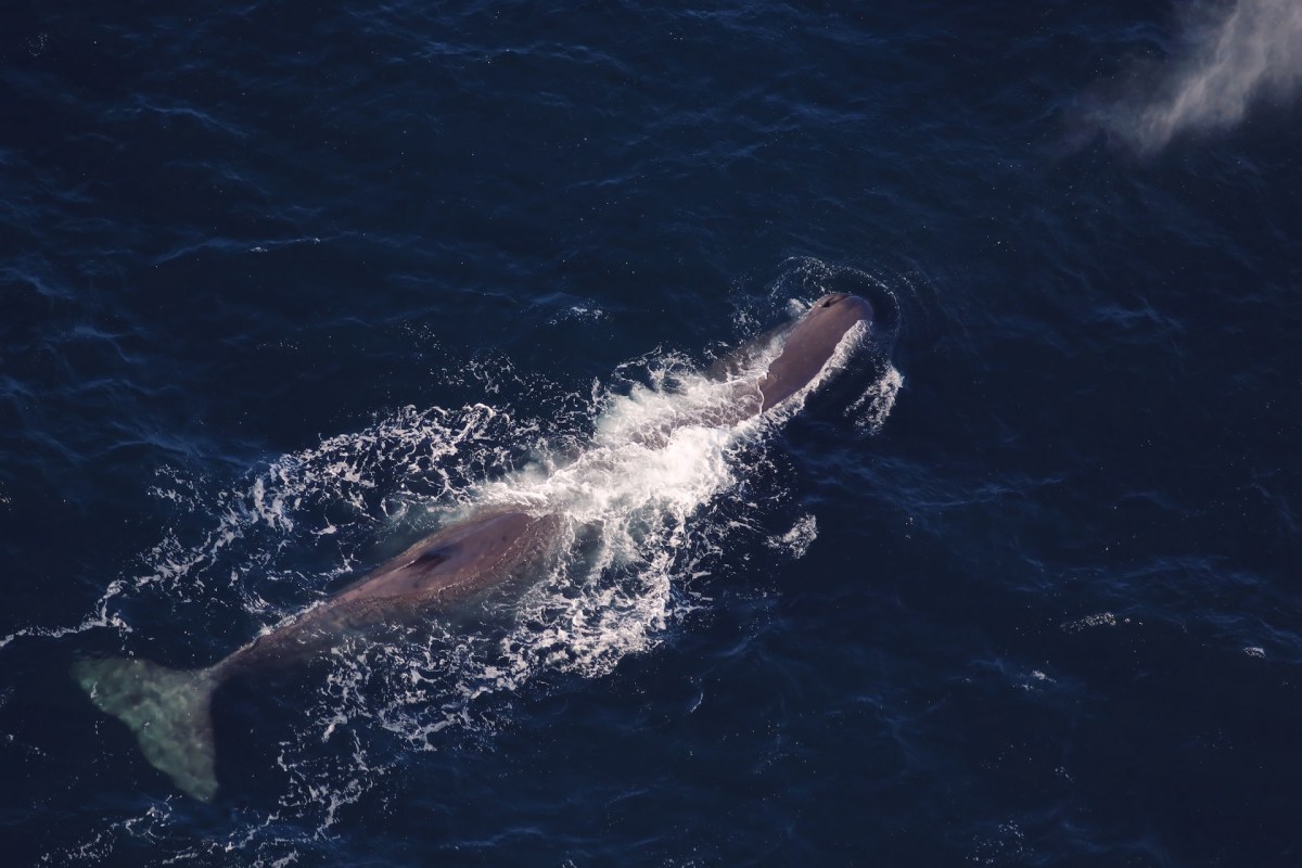 "It's really exciting to see these new innovations."