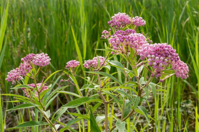 "First time seeing one!"