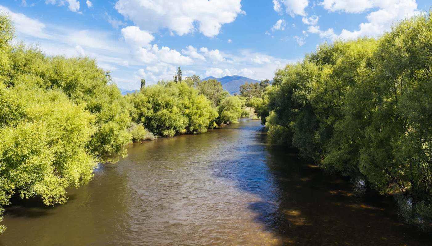 "Fingers crossed things start looking up for them."