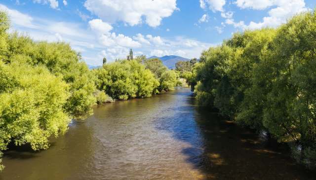 "Fingers crossed things start looking up for them."