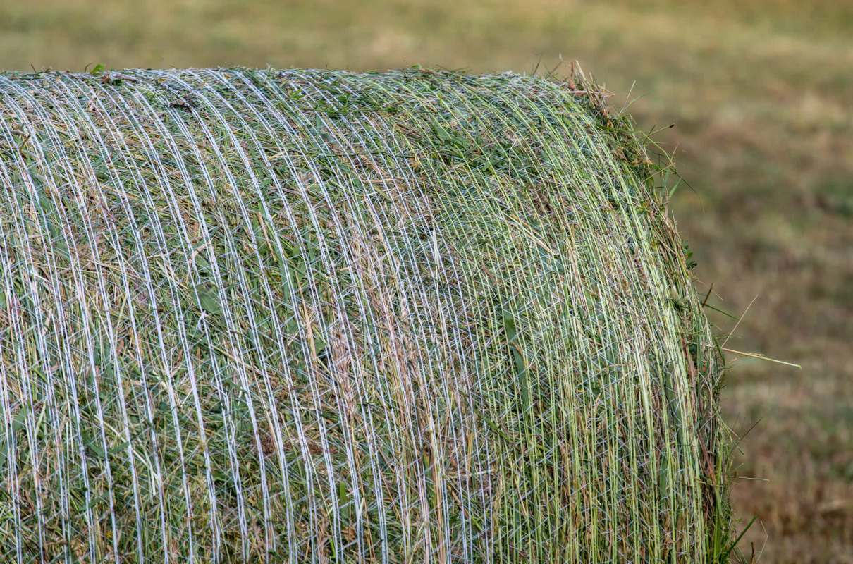 "So exciting to see you all use the items from your property!"