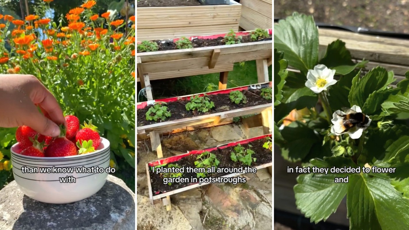 "I'll try this method and tell you how it goes."