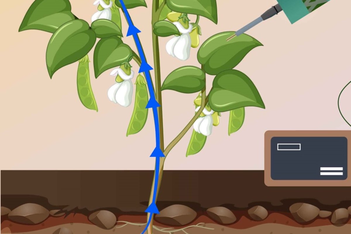 "It challenges long-standing assumptions."