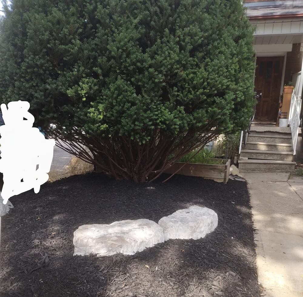 "No warning, no collaboration."