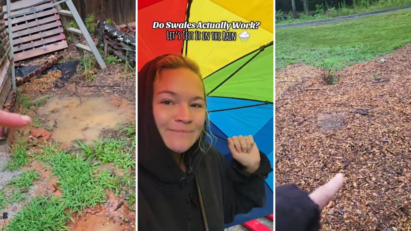 "Absolutely fantastic!"