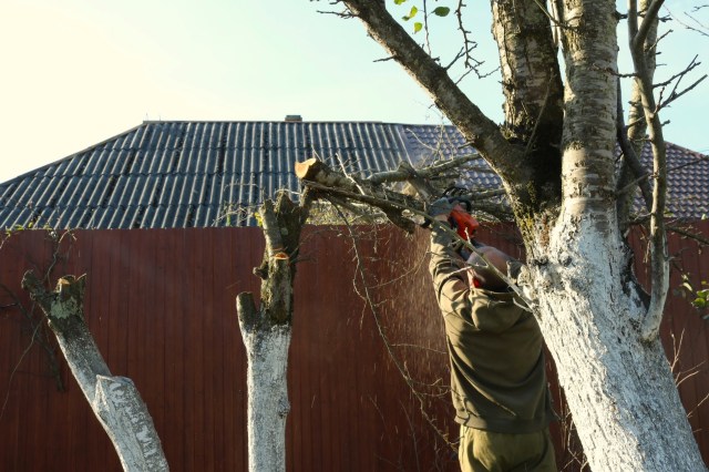 "This is definitely civil suit worthy."