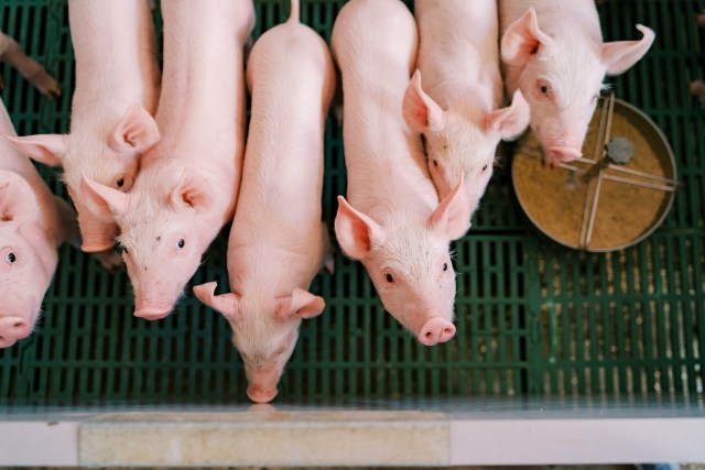 The study adds to a growing body of evidence.