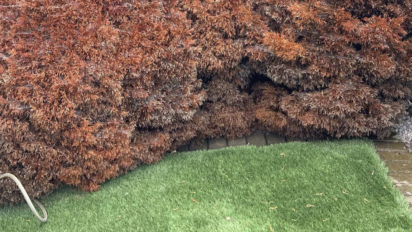 "It's not helping anything."