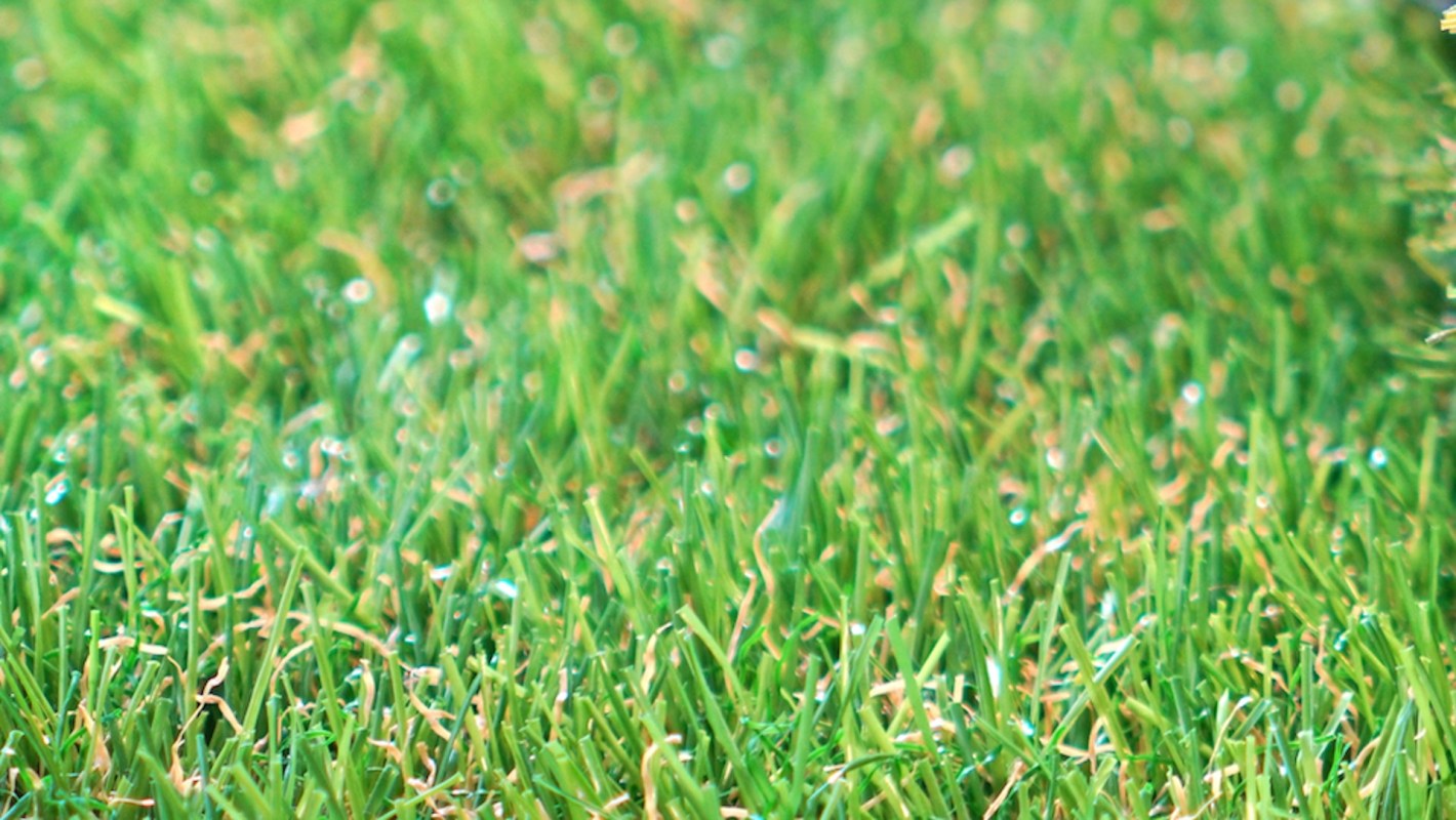 "I don't understand how this video isn't more viral."