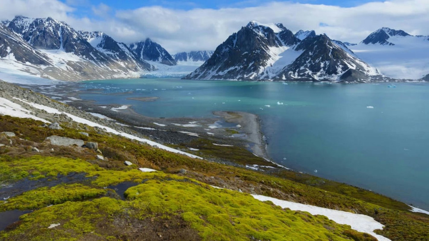 Locals are taking action.