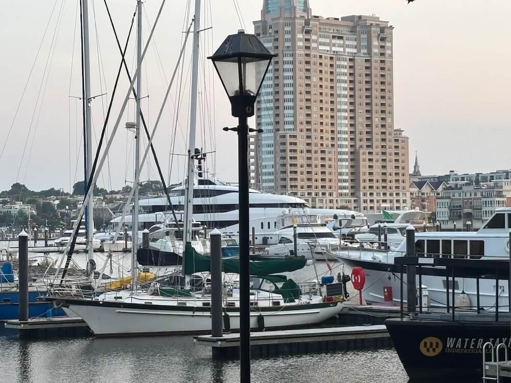 "Something is going on."