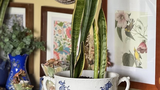 "Thanks for the inspiration!"