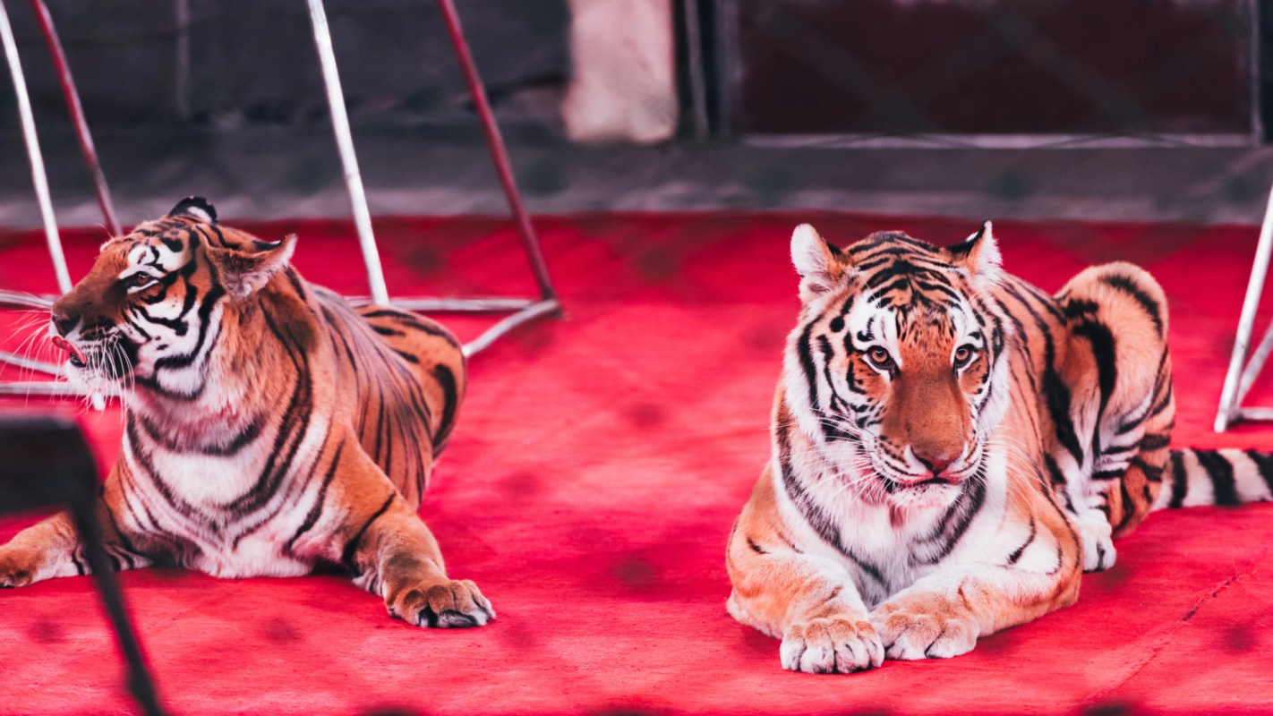 It's part of a concerning trend.