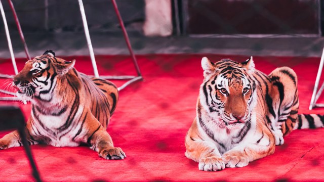 It's part of a concerning trend.