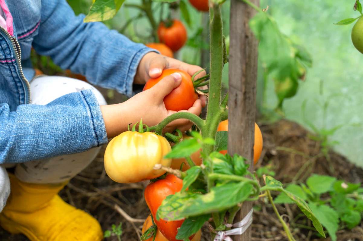 "Thank you, I'm trying this."