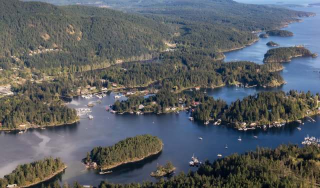 The footage underlines the importance of trail cameras in conservation efforts.