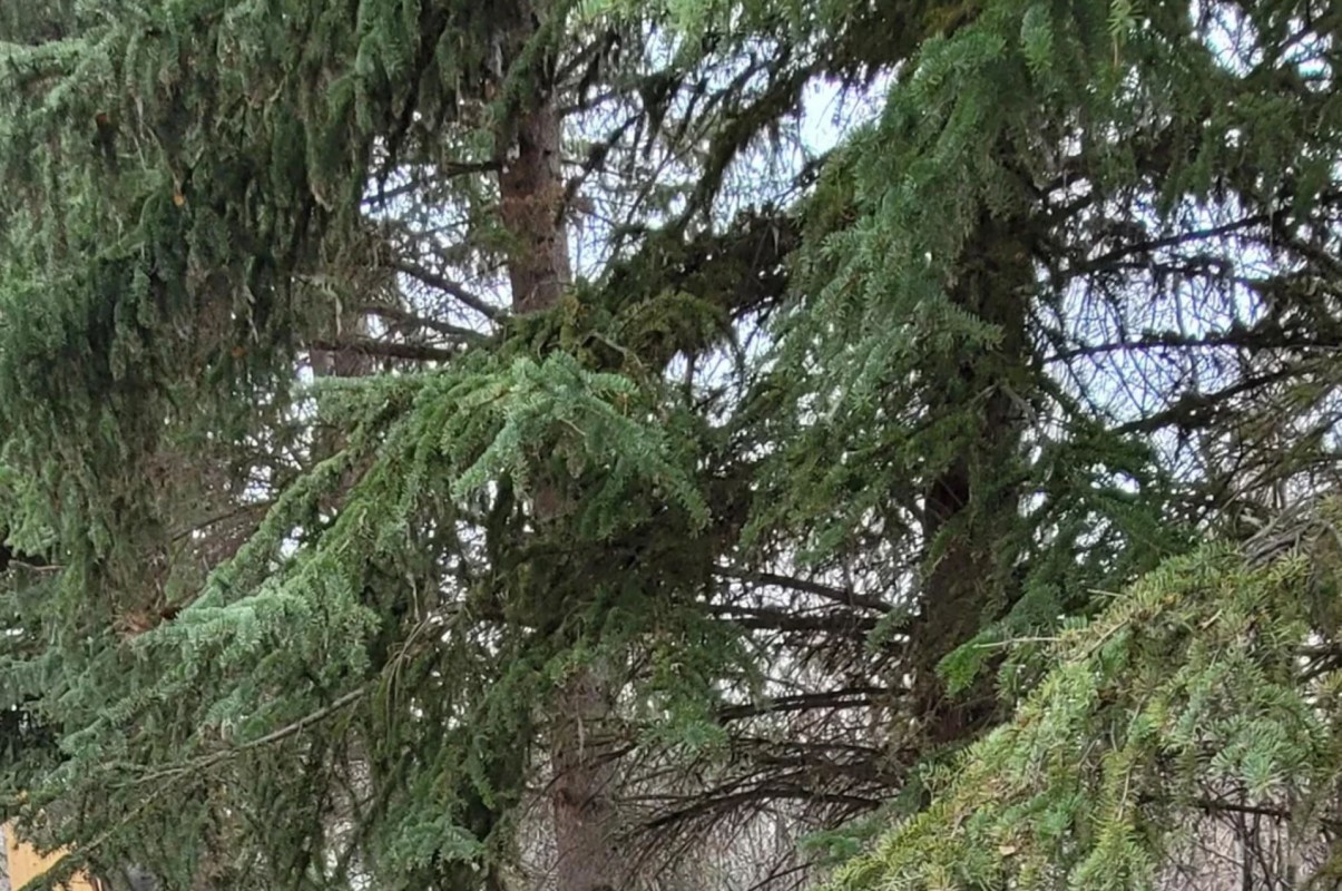 "I was on a project with a very similar situation a few years ago."