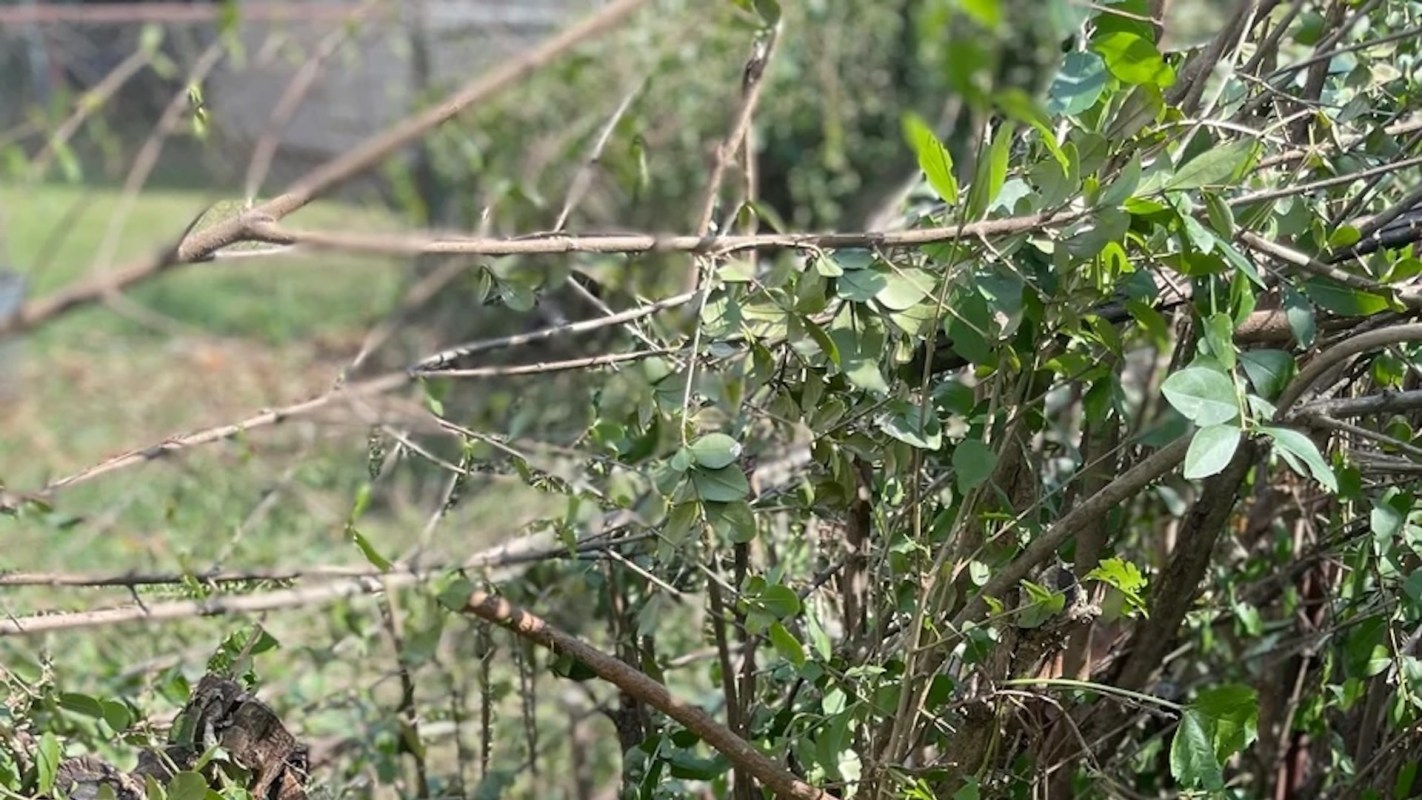 "What they did is known as criminal damage and trespassing."