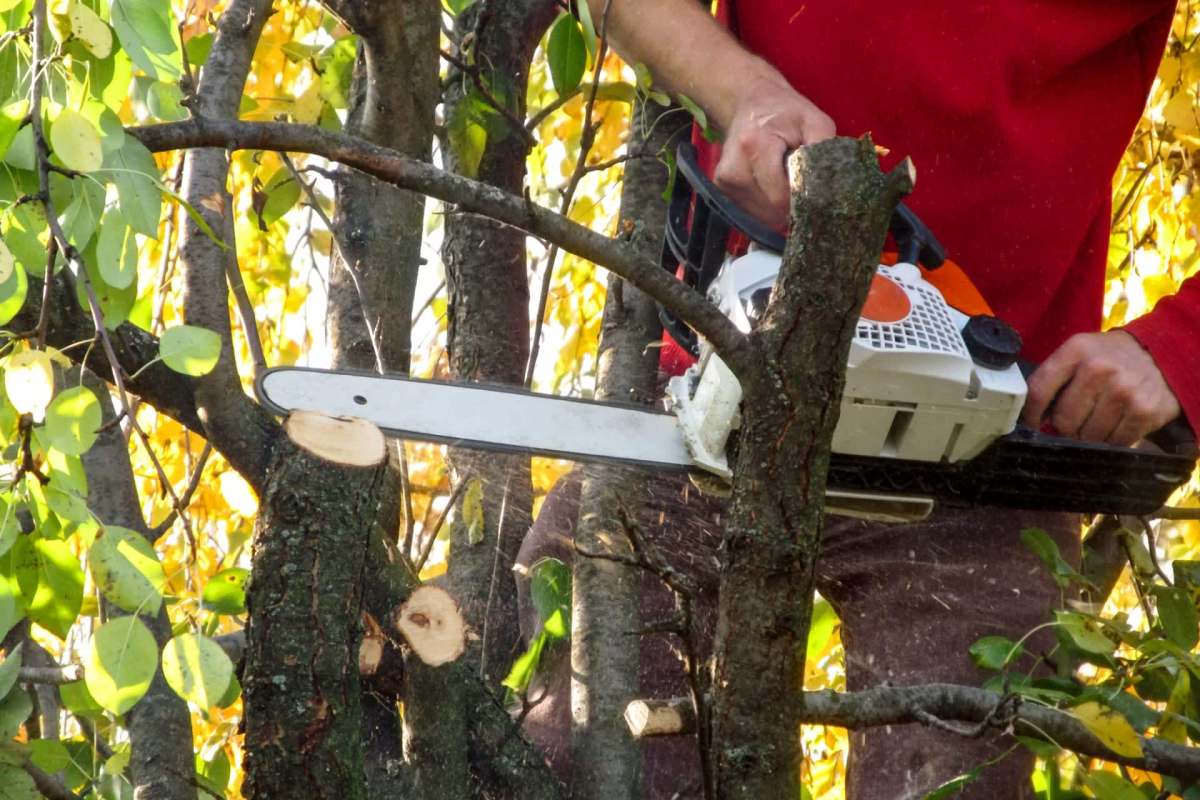 "Send this picture to the boss of the company that made the cut."